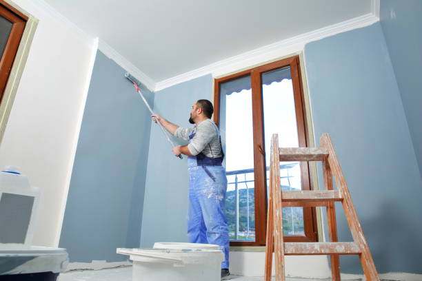 Best Commercial Painting  in Cokato, MN