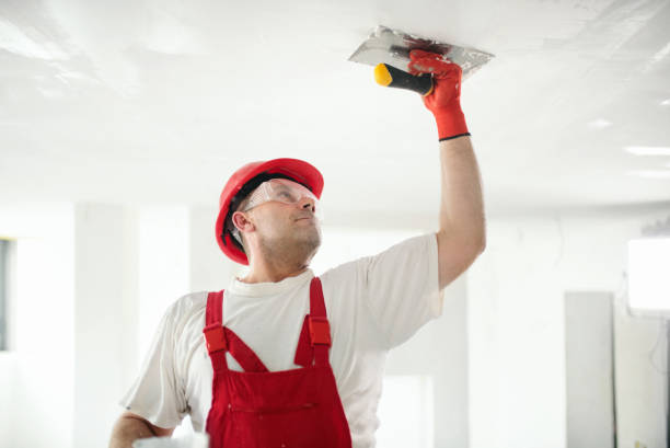 Best Drywall Removal and Disposal  in Cokato, MN